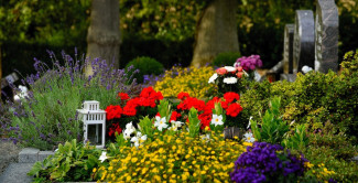 Friedhof