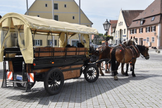 Seniorenkreisausflug mit der Pferdekutsche